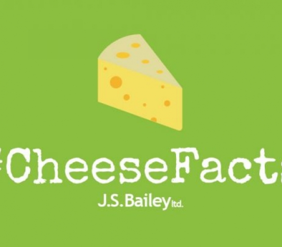 Interesting facts about cheese that you might not know