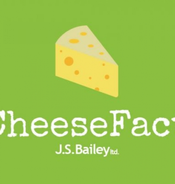 Interesting facts about cheese that you might not know