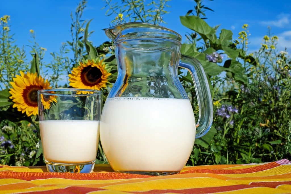 Types of milk for cheese making