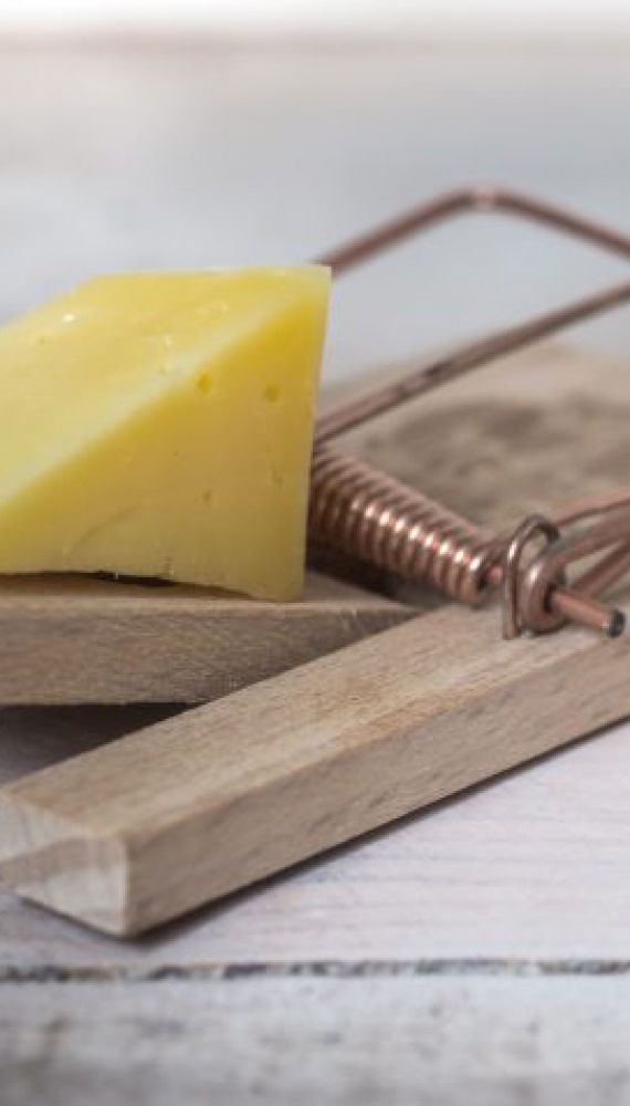 The top four cheese myths