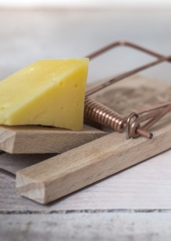 The top four cheese myths